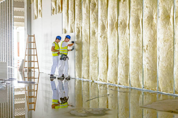 Types of Insulation We Offer in Mays Chapel, MD